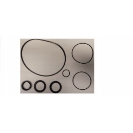 Front diff seals for Polaris Sportsman 1000