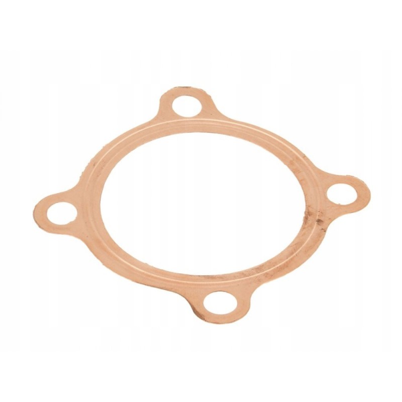 Head gasket Polaris Predator 90 2t 03 06