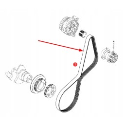 F836200040020 multi V-belt