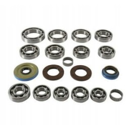 All balls polaris general 1000 repair kit