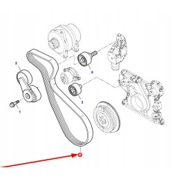 8pkx1230lp multi V-belt 8pk x 1230lp