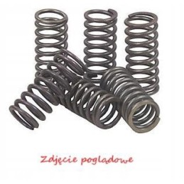 EBC clutch springs 4 pcs in the set csk098