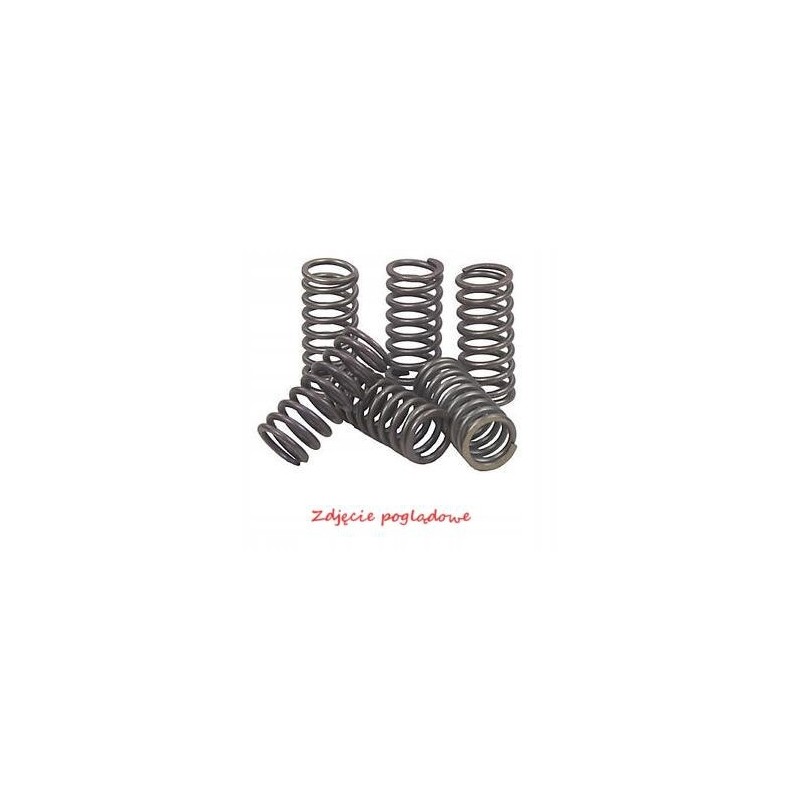 EBC clutch springs 4 pcs in the set csk098
