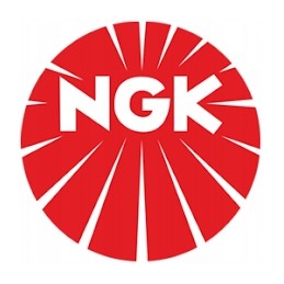 Spark plug b10eg b10eg ngk