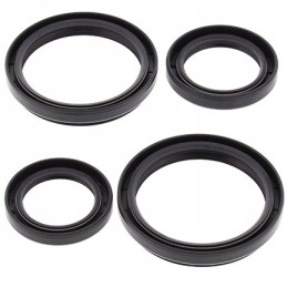 Arctic Cat rear differential seals for Kymco Maxxer MXU
