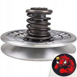 Complete secondary clutch for Yamaha Grizzly 660