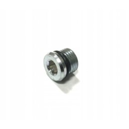 Front diff drain plug Can Am Renegade 500 570