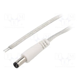 1 pcs x BQ CABLE - DC.CAB.8210.0300 - Cable, 2x0.5mm2, wires,DC 5,5/2,1 plug, straight, transparent, 3m