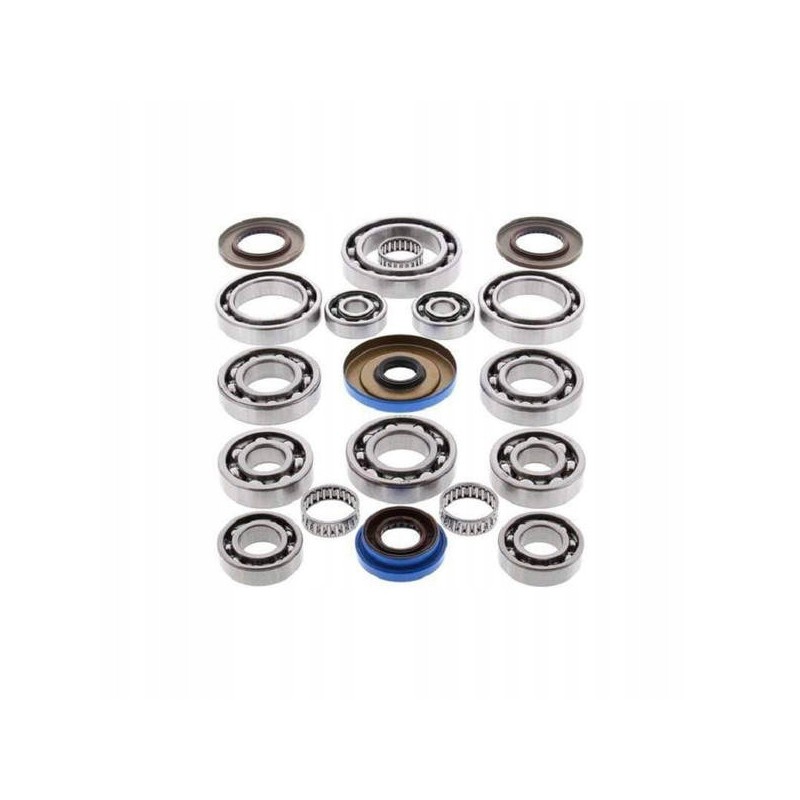 All balls rear differential repair kit after