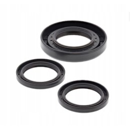 Differential repair kit