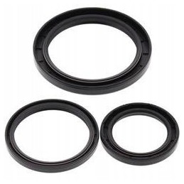 All balls yamah rear differential seals