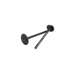 Valves valve set atv quad cross loncin 150