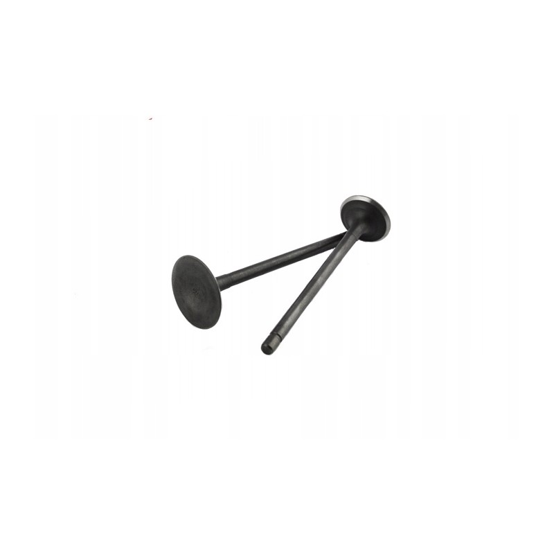 Valves valve set atv quad cross loncin 150