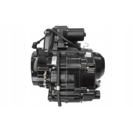 Engine 125 cc bts atv quad buggy automatic promotion