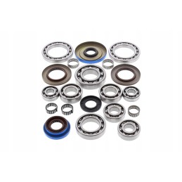 All balls rear differential repair kit