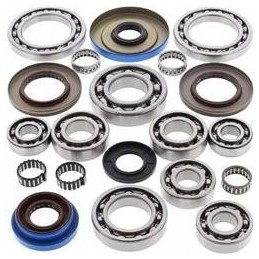 All balls rear differential repair kit after