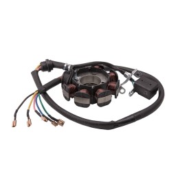 Stator magneto atv quad 200 250 bashan