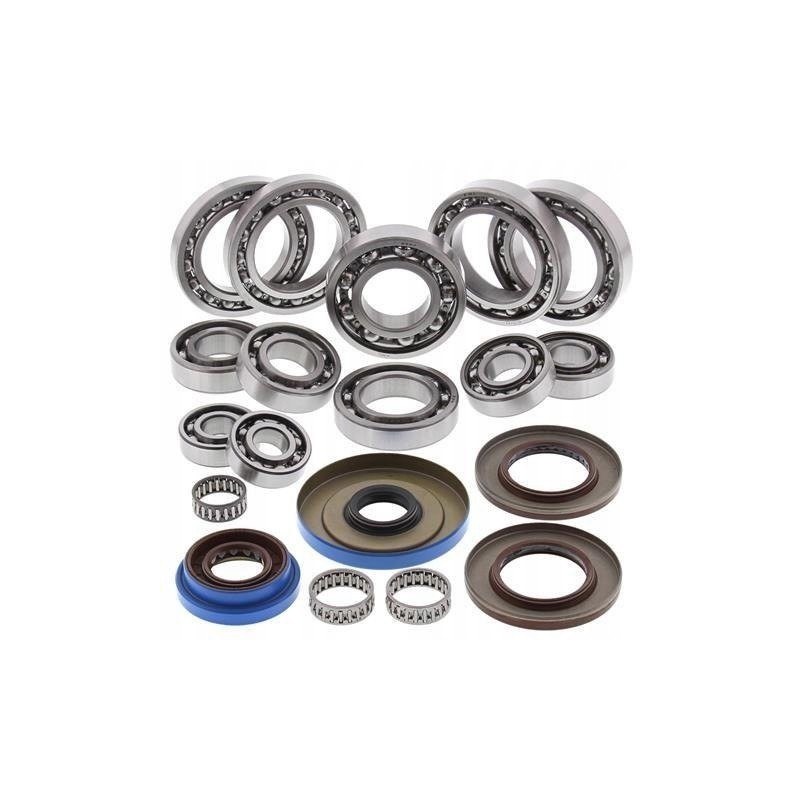 All balls rear differential repair kit after