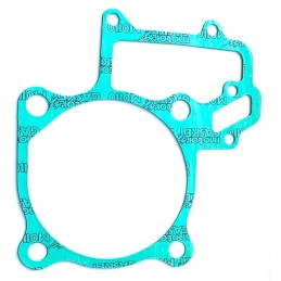 Kawasaki KVF 650 brute force cylinder gasket