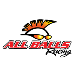 All rear axle bearings for yamaha yfm 660 raptor