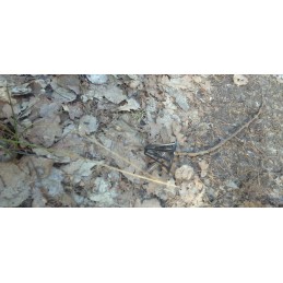 Air filter 42mm 45 sponge cone tuning atv quad bashan eagle 200 250