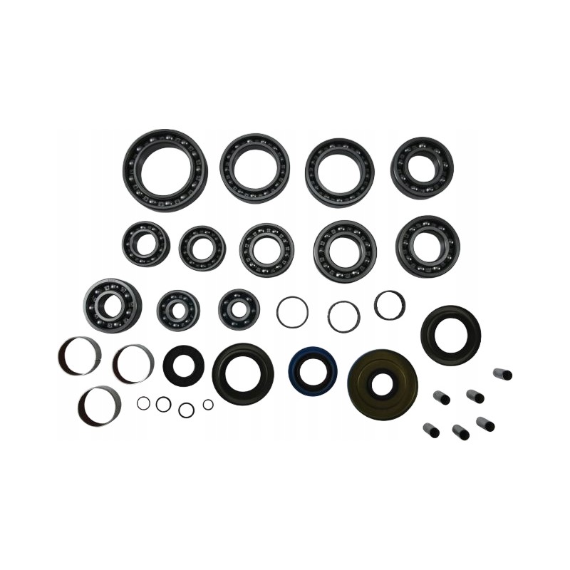 All balls repair kit polaris ace 570 eu 17