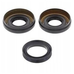 Differential repair kit