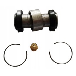 Bashan wishbone bushing bushing