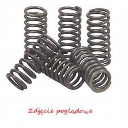 Clutch springs ebc 4 pcs in a set csk098 ebc csk098