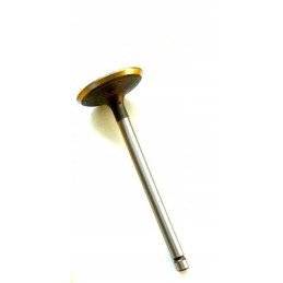 Intake valve yamaha yfm 250 raptor bear tracker