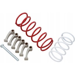 Epi can am renegade 1000 efi x xc clutch kit