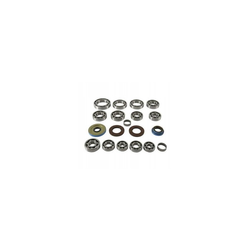 General 1000 rear differential repair kit