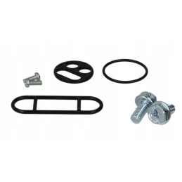 Yamaha xtz 660 750 super tenere crank repair kit