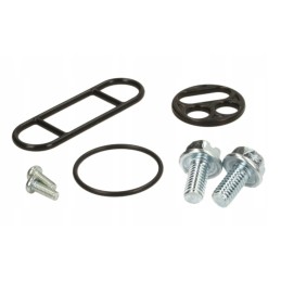 Yamaha xtz 660 750 super tenere crank repair kit