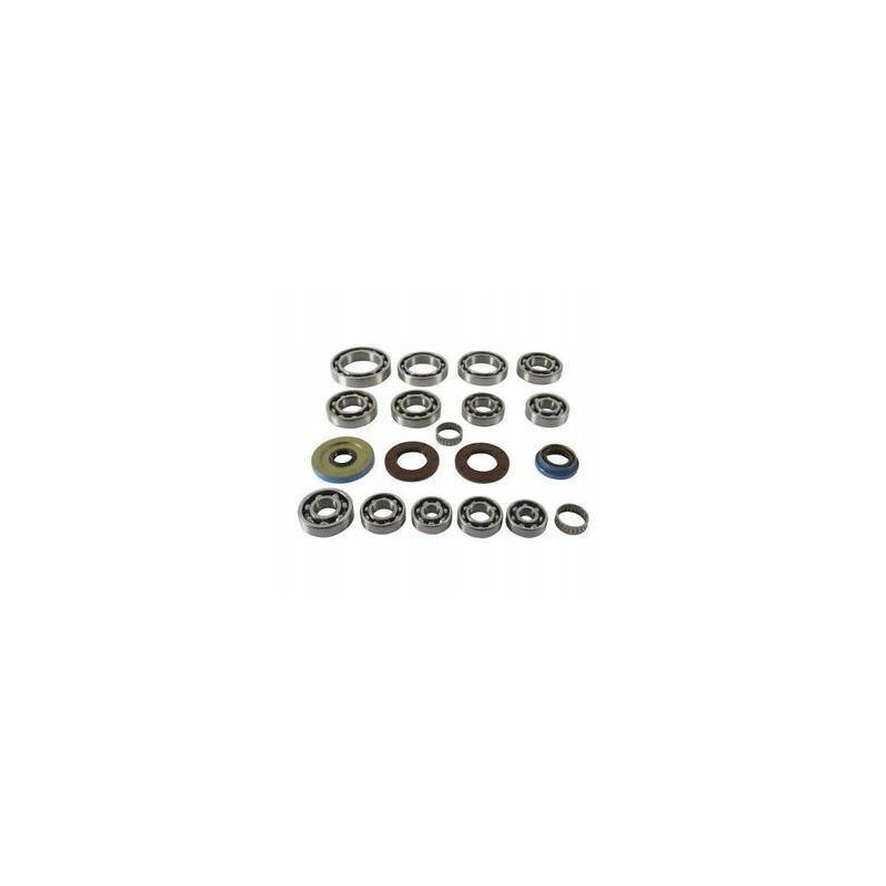 Polaris Ranger 1000 rear differential repair kit