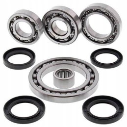 All balls su rear differential repair kit