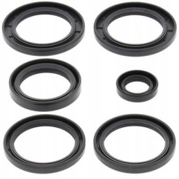 Kawasaki KVF rear differential seals