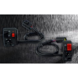 Quad motor switch, turn signals, ignition lights