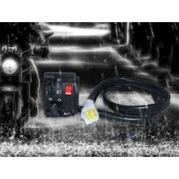 Quad motor switch, turn signals, ignition lights