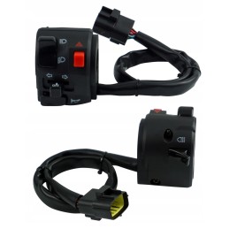 Quad motor switch, turn signals, ignition lights