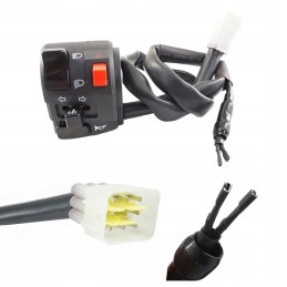 Quad motor switch, turn signals, ignition lights