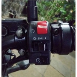 Quad motor switch, turn signals, ignition lights