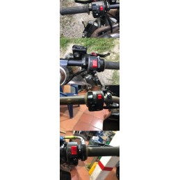 Quad motor switch, turn signals, ignition lights