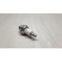 Champion Rcj6y spark plug
