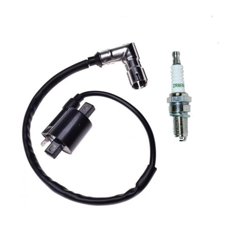 Plug coil quad bashan shineray 150 200 250