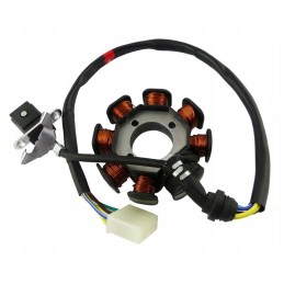 Igniter 8 coils bashan shineray quad atv 200 250