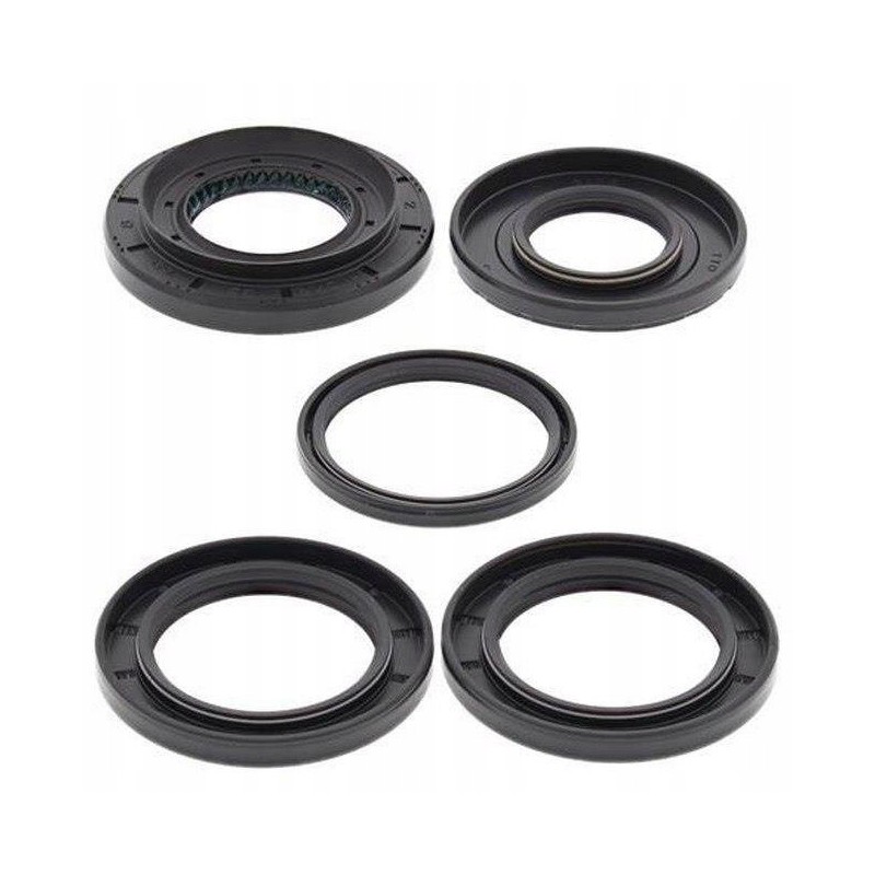 Differential repair kit