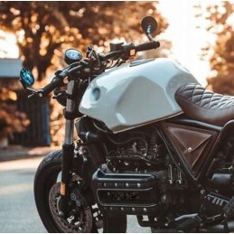 Raptor grizzly wide-angle bottom and top mirrors