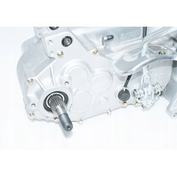 150cc ATV engine, automatic reverse gear, symmetrical