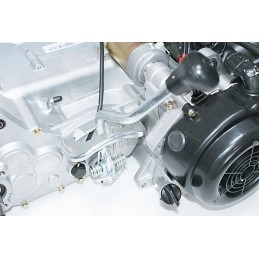 150cc ATV engine, automatic reverse gear, symmetrical